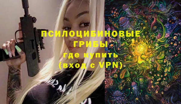 стафф Белокуриха