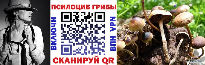 Псилоцибиновые грибы прущие грибы  OMG маркетплейс  Купино 